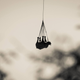 Illustration for article titled The Best Way To Transport A Rhino? Upside Down, Tied to a Helicopter